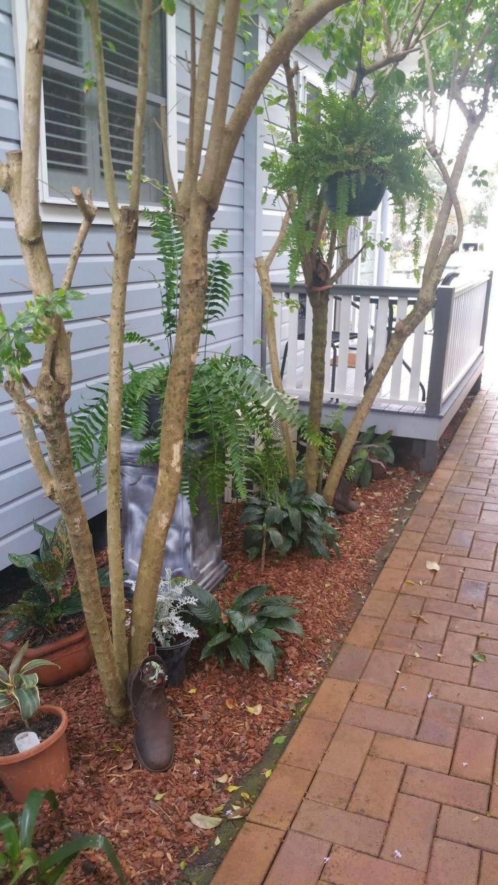 Elindale House Bed & Breakfast Лизмор Екстериор снимка